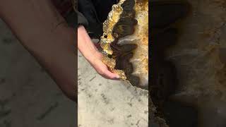 Você viu isso? Não… volta. #doidaporpedras #crysta #crystals #pedramito #crystalshop #energia #decor