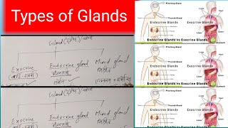 Science, Types of Glands, What is Gland, Define exocrine gland,