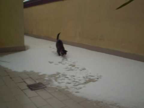 Gigi scopre la neve