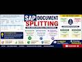 SAP FICO Document Splitting Explained | Active, Passive & Zero Balance Clearing Account with Real