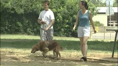 VNUS Closure Patient Education Video