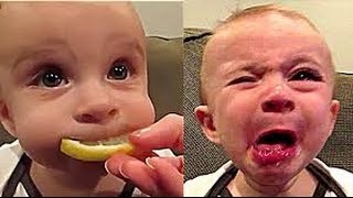 Funny Videos That Make You Laugh So Hard You Cry Funny Baby Videos part 1