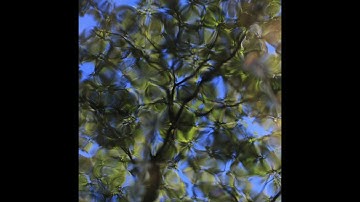 【microKORG XL＋ & monotron DELAY】　With My KORG