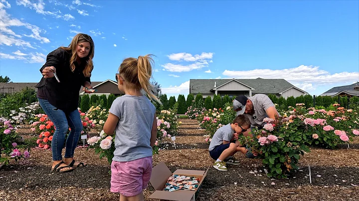 Releasing 3 Types of Beneficial Insects, Rainstorm & Planting RED!!! 🪰🌧️❤️ // Garden Answer