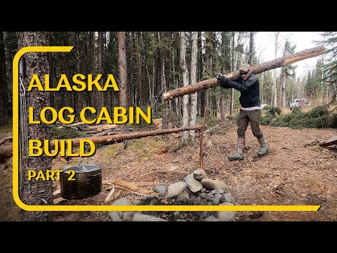 Alaska Log Cabin Build and Bushcraft Salmon Dinner ASMR - YouTube