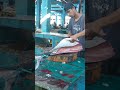 The Way To Fillet Tuma Fishcutting Tuna Fish Yellowfintuna 