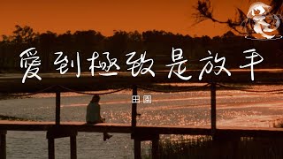 田園 - 愛到極致是放手「愛到極致是放手 再痛也忍著淚流」【動態歌詞】♪