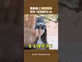 蔡依林上演甄嬛傳　粉笑：以為是AI(誤) #Shorts