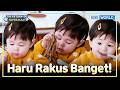 Kalap Lihat Makguksu, Punya Ayah Diambil 😅 | The Return of Superman [IND/ENG] | KBS WORLD TV 260517