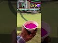 holi celebrations #holi #celebration Skd public school #shortvideo #skr #trending