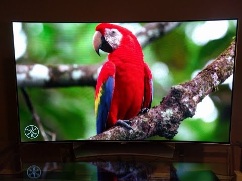 LG 55EG9100 OLED Live Demo and Review