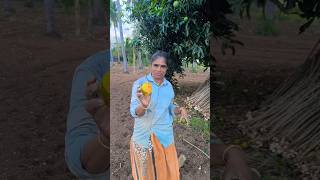 Familiya farm work panrom 🌲🌲🌲🙏🏻🙏🏻🙏🏻 #sasi