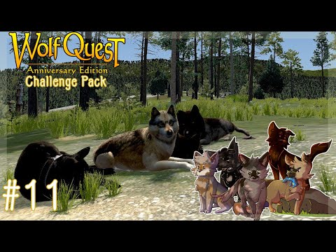 [WolfQuest AE: The Challenge Pack!] A Lucky Battleground! (The right one lol)