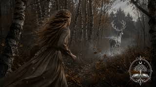 Memory of the Soul I Where the Silver One Leads I Ambient Theme I Book Soundtrack