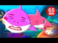Baby Shark Got A Boo Boo More Baby Shark Songs FunForKidsTV Nursery Rhymes 