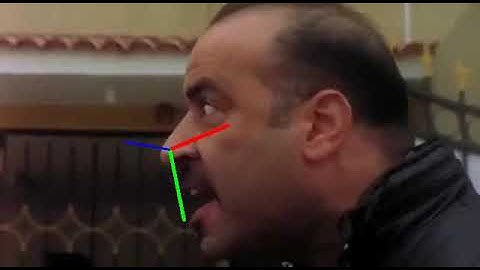 Head Pose Estimation boshkash