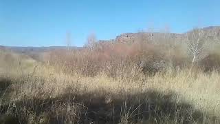 Охота с пневматикой на фазана. Супер охота
