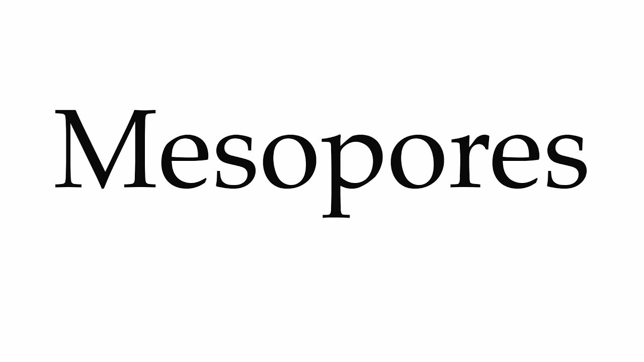 How to Pronounce Mesopores