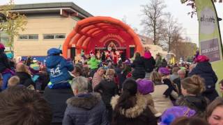 Sinterklaas In Twello 2016