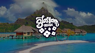 Count Doodoo - Beach Crossing