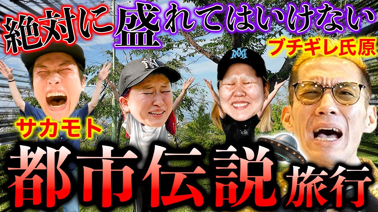 【衝撃映像】UFO呼んだら宇宙人に遭遇...【GGチャンネル】