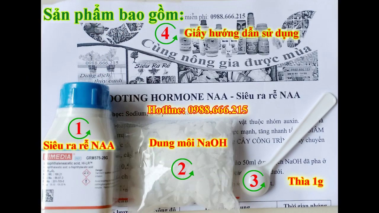 Thuốc ra rễ NAA là gì? công dụng? -... - youtube