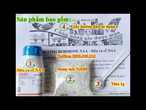 Video Thuốc ra rễ NAA là gì? công dụng? -... - youtube