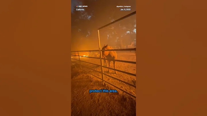 California firefighter hops fence to rescue trapped horse