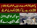 Biggest parrot farm in pakistan with unbelievable business 2023