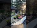 Walk through my front yard and as I tell you the names of perennials in my low maintenance garden