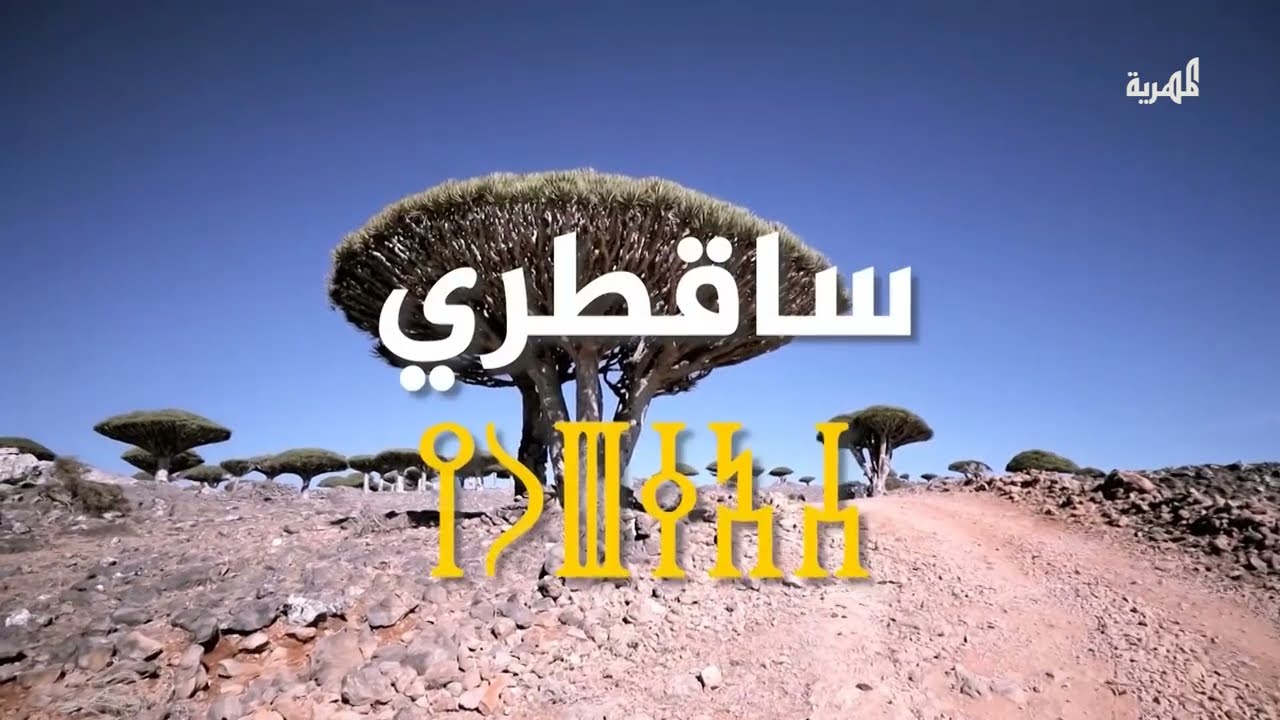 من هو أول من سكن سقطرى ؟