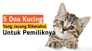 5 Doa Kucing Untuk Pemiliknya  No 3 Masyaallah