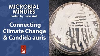 Connecting Climate Change and Emerging Infectious Disease