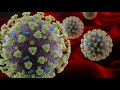 Coronavirus vaccine: When it could be available and challenges