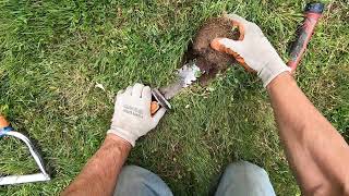 LIVE DIG ACTION!! Spinner ring with the XP Deus 2 HF2 coil in the park.