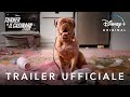 Disney+ | Turner e il Casinaro - La Serie | In Streaming dal 21 Luglio