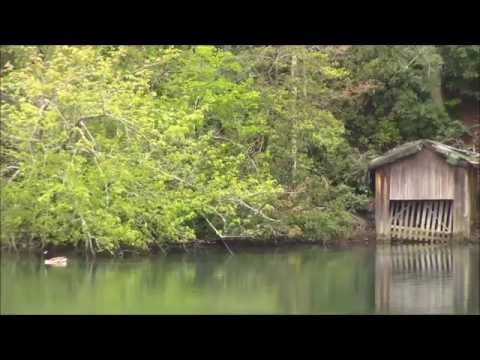 Relax at DeSoto State Park, Fort Payne, AL by Kim Schulz