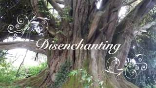 Watch View19 Disenchanting video