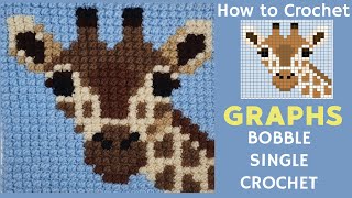 How to crochet GRAPHS with the BOBBLE SINGLE CROCHET | Giraffe Block | Wildlife Graphghan CAL