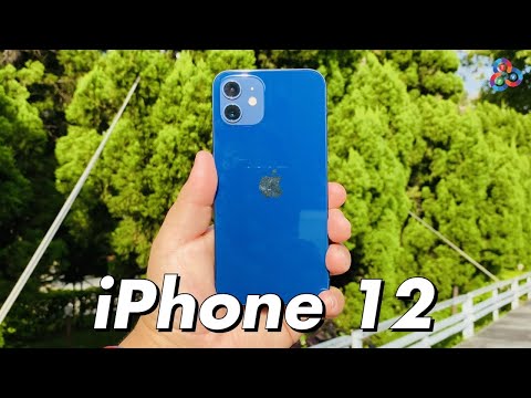 iPhone12 ブルー　モリソン スキンシール iPhone12 Pro ブルー – wraplus