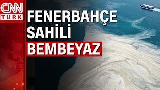 Marmara Denizindeki Müsilaj Tehlikesi Devam Ediyor