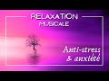 Musique thérapeutique- Sons binauraux pour réduire STRESS et anxiété sans rien faire.. juste écouter