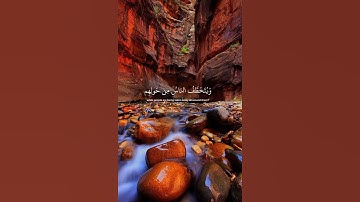 أولم يروا أنا جعلنا حرما أمنا--{القارئ عبدالرحمن مسعد}،❤️🎧