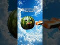фрукты едят себя фрукты едят себя пжактив тренд 