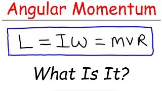 What Is Angular Momentum?