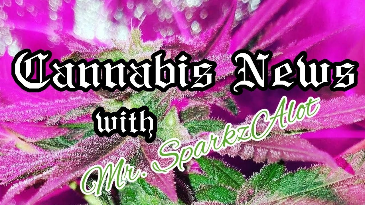 Cannabis News with Mr. Sparkzalot