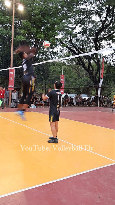 Raja Tarkam Voli Indonesia Sadi si Tangan kilat Tosser Jago #sadidustine #voli #volleyball #shorts