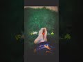 natural scenario relaxing yourself with nature