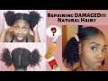 Is my hair DAMAGED? Bentonite Clay Mask in low porosity natural hair!