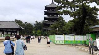 Kofukuji - Tempel In Nara
